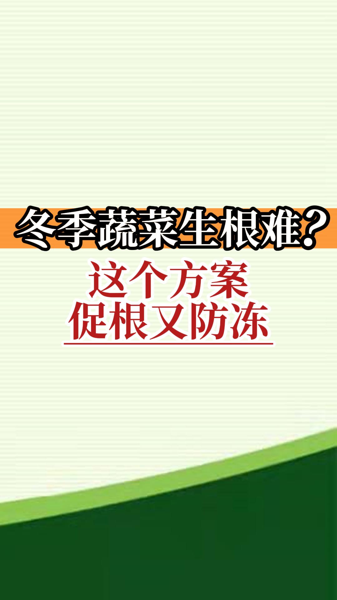 冬季蔬菜生根難？這個方案促根又防凍