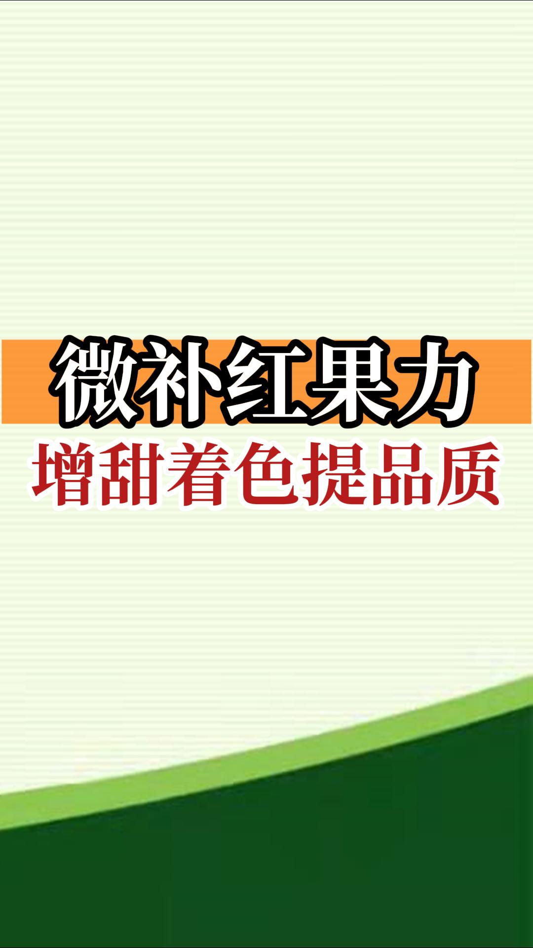 微補(bǔ)紅果力，增甜著色提品質(zhì)