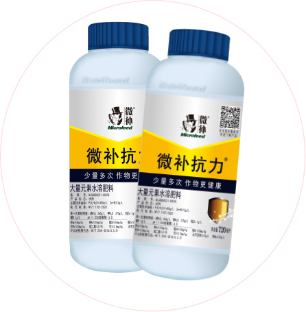 如何做好冬季清園，減少來(lái)年病蟲害影響