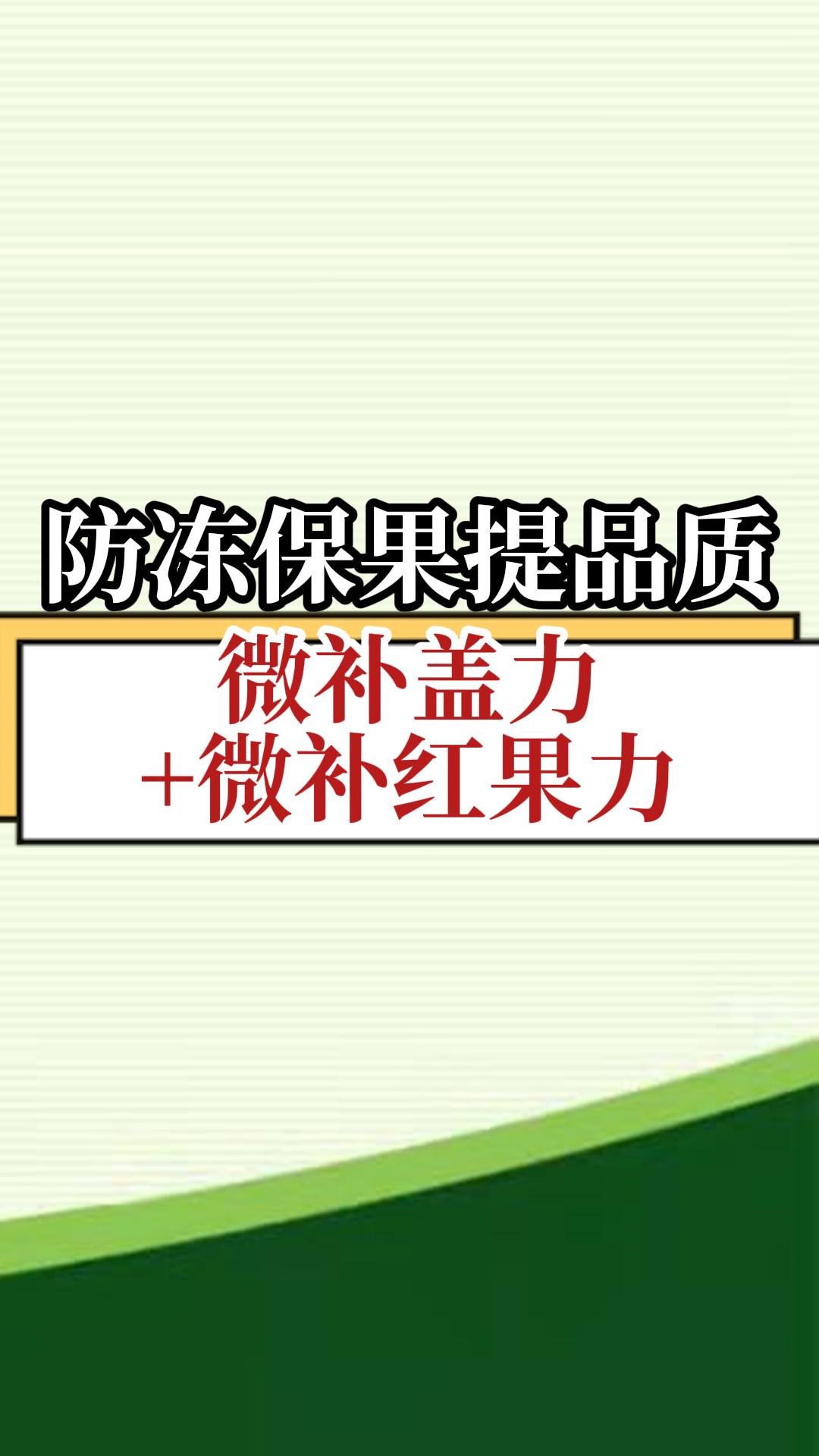 防凍保果提品質(zhì) 微補(bǔ)蓋力+微補(bǔ)紅果力