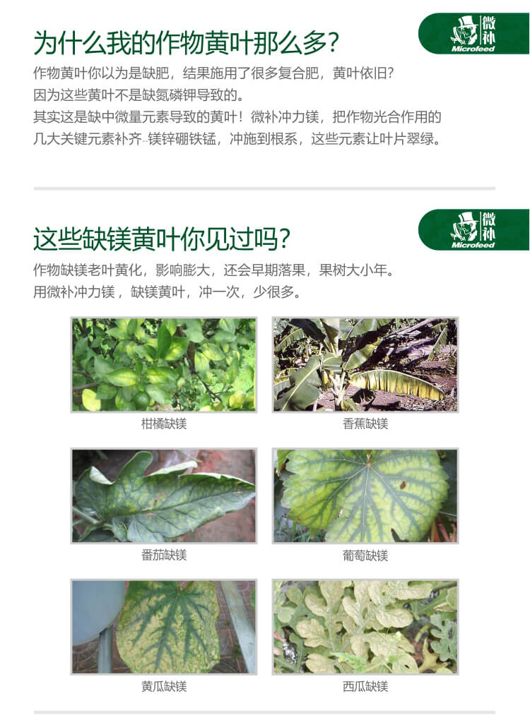 微補(bǔ)沖力鎂