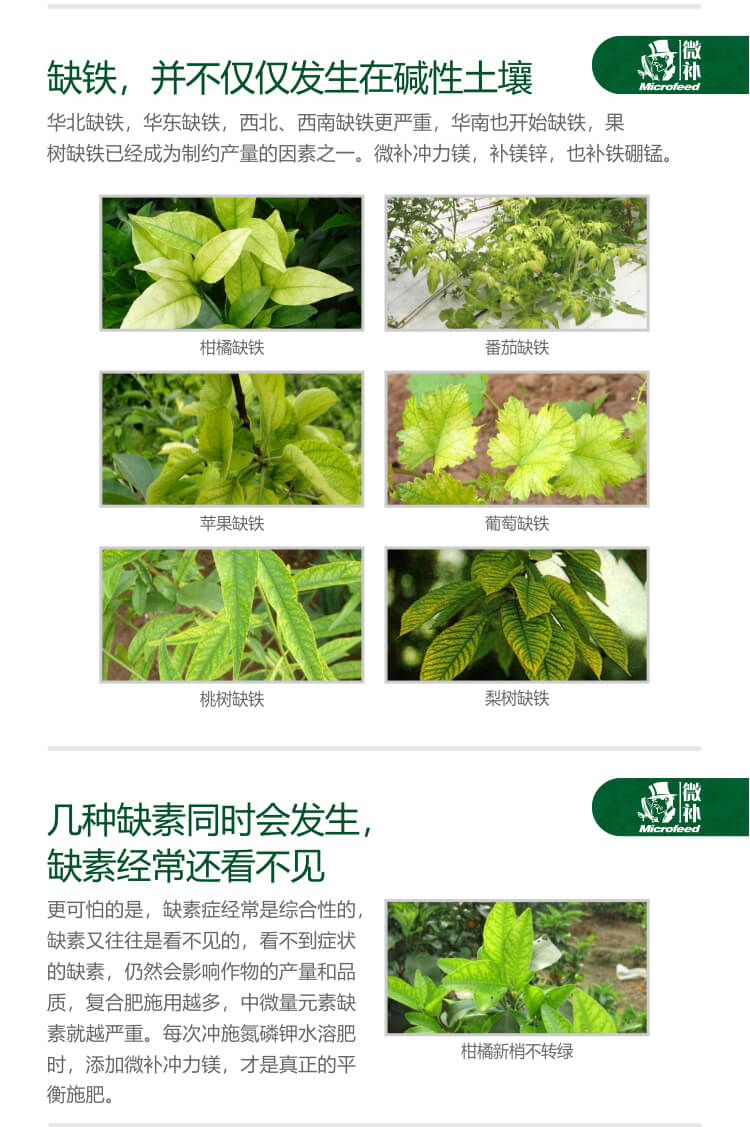 微補(bǔ)沖力鎂