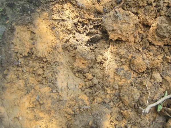 微補三級火箭方案有如此神奇功效？