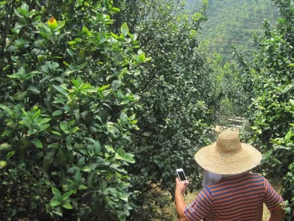 微補三級火箭方案有如此神奇功效？