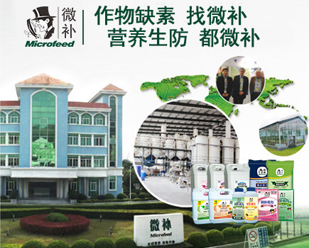 微補研發(fā)中心