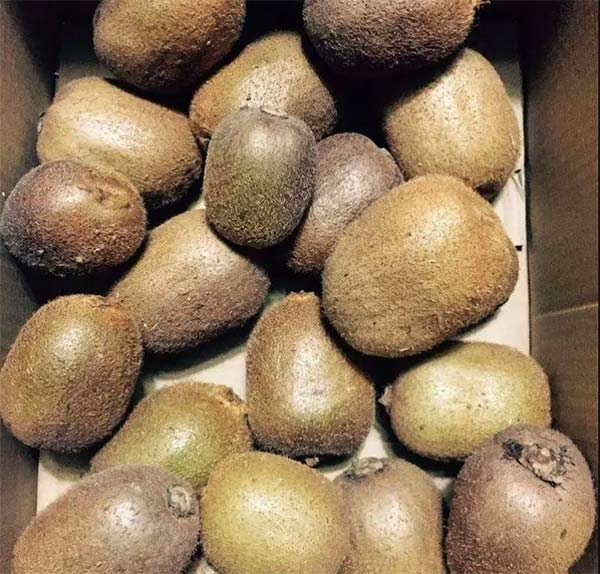 采果前后生防病蟲害，效益最佳?！