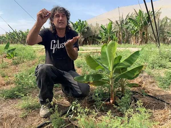 深度思考：我們到底應(yīng)該向以色列農(nóng)業(yè)學(xué)習(xí)什么？